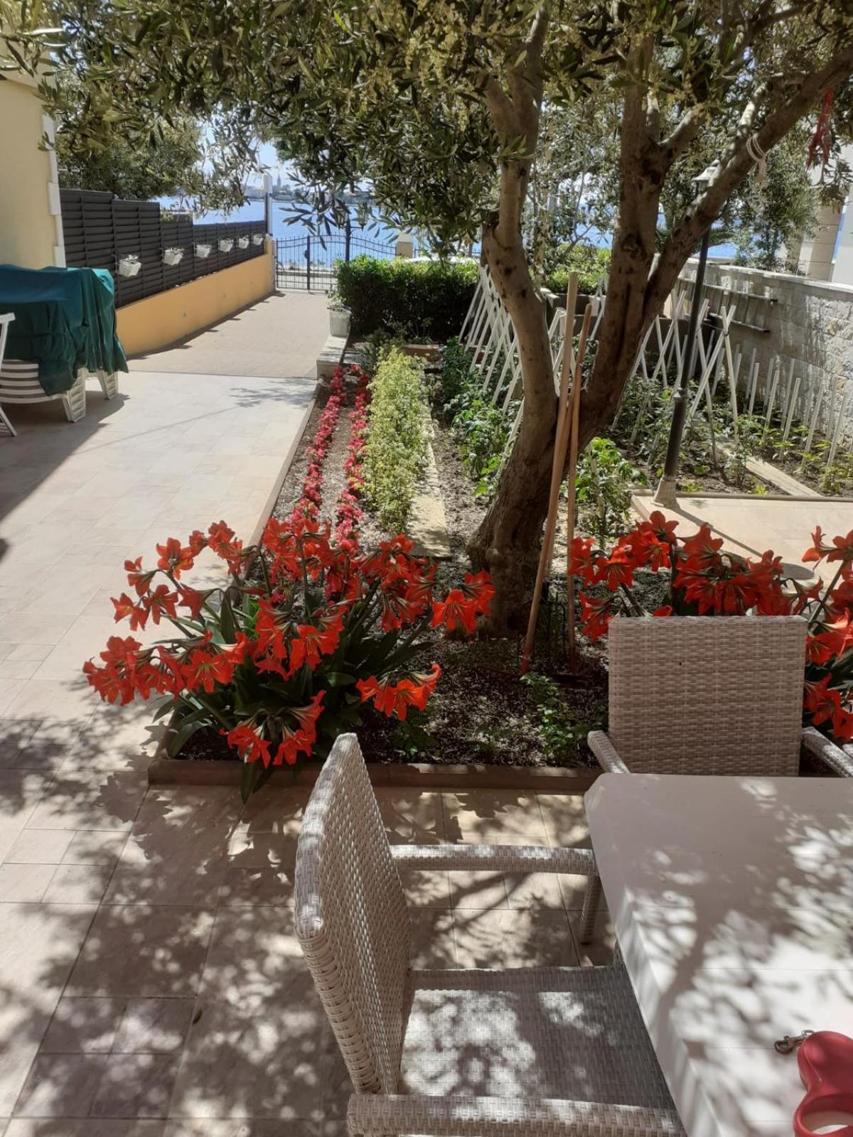 Lanterna Puntamika apt. near beach Zadar Exterior foto